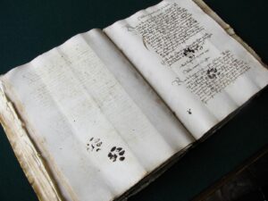 zampe di gatto su manoscritto